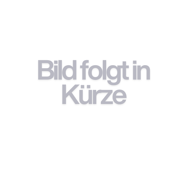 Anycubic ACE 2 Pro Sistema Multicolor